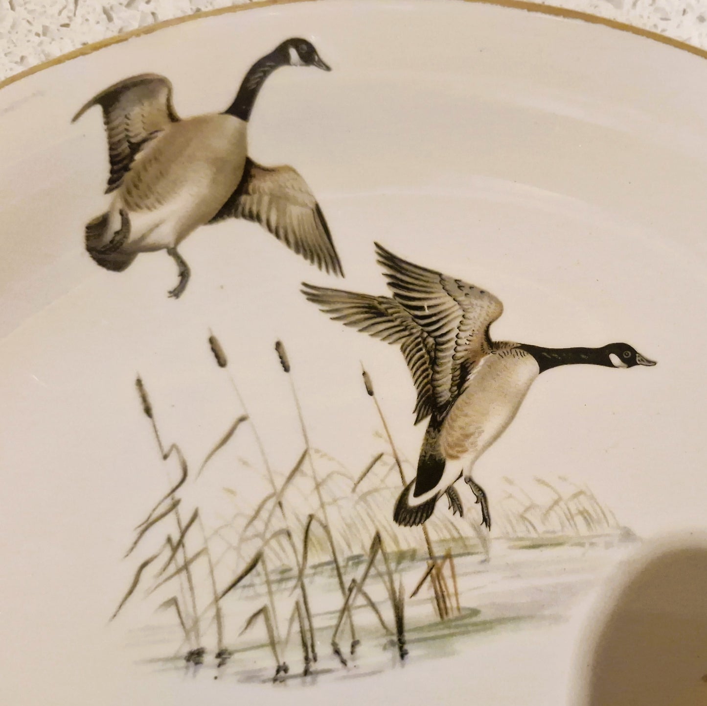 Wildfowl, Wild Ducks Plate, Pheasants, Britannia Designs, Dartmouth Pottery, England