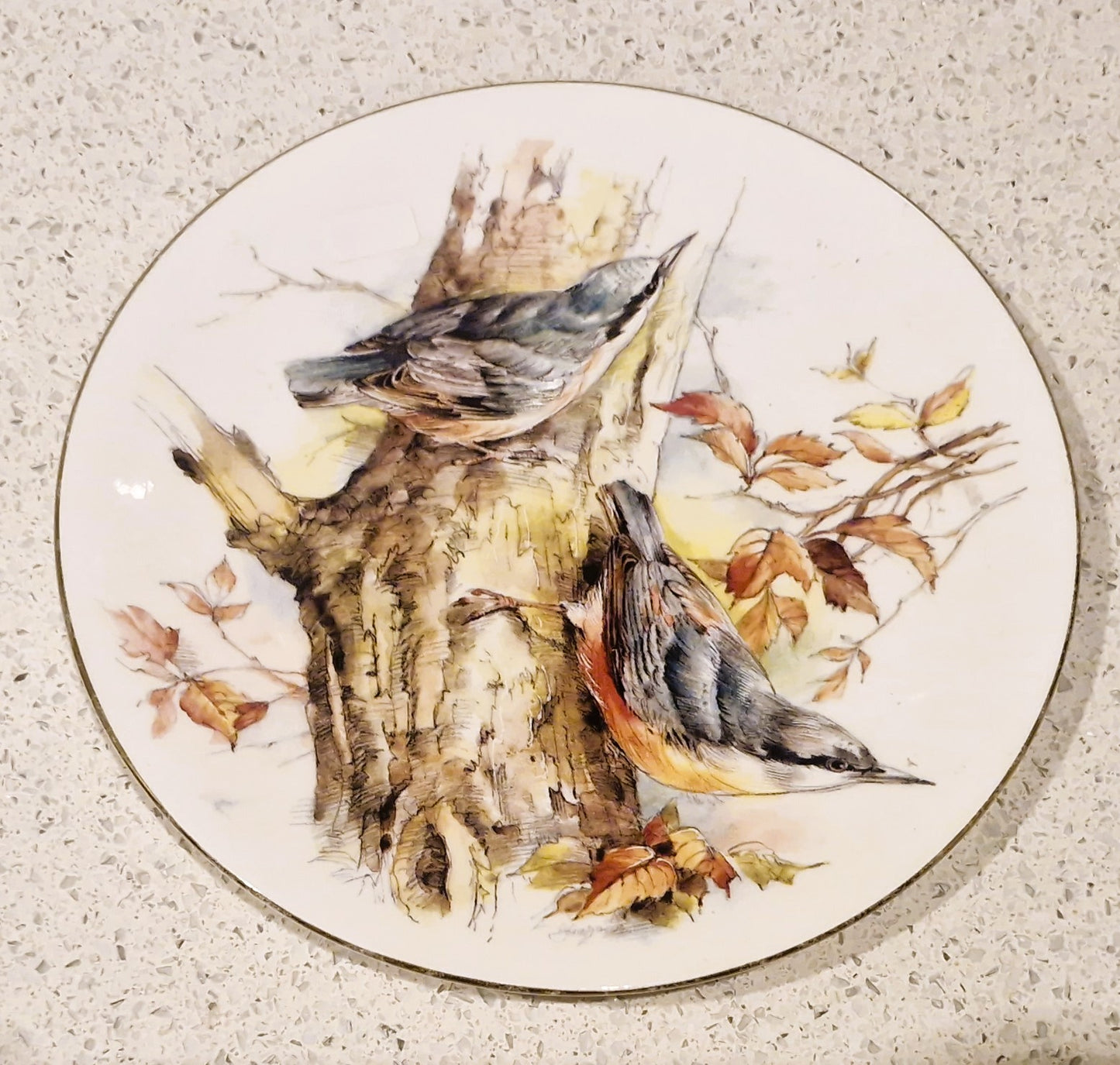 Bone China Colourful Birds Of Britain Plate, Burlington Art, Decorative Plate, Nuthatch, Porcelian: C.J. Dams and Co Ltd, England