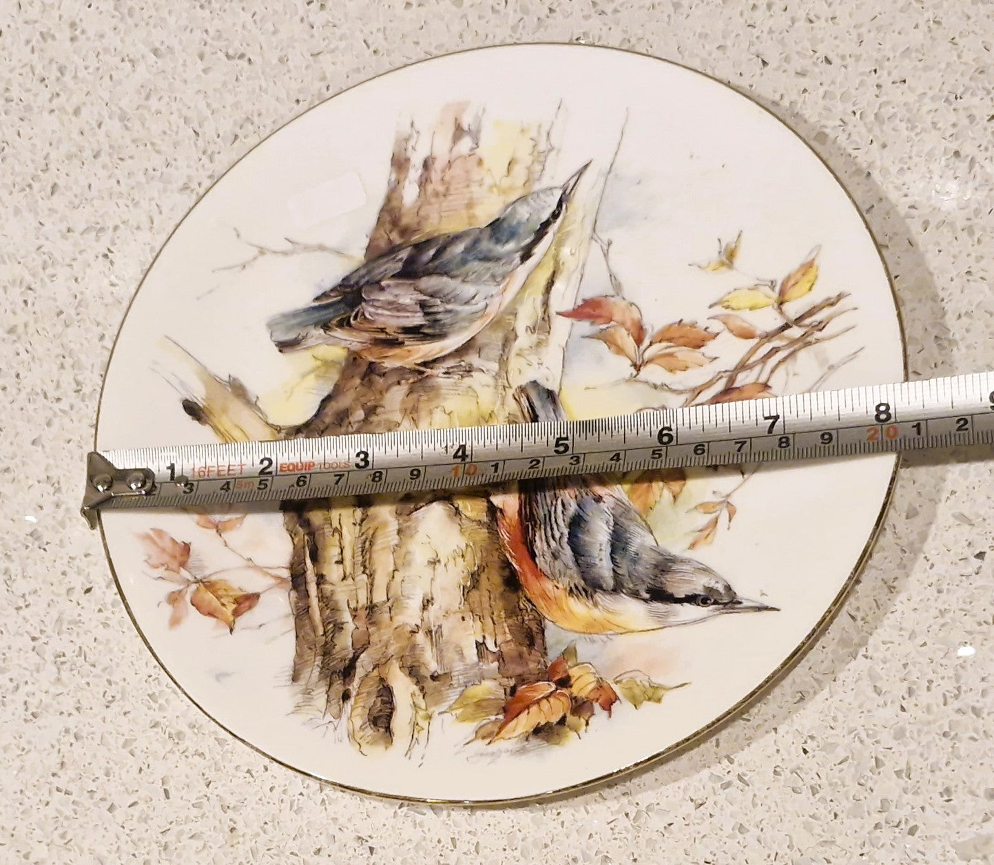 Bone China Colourful Birds Of Britain Plate, Burlington Art, Decorative Plate, Nuthatch, Porcelian: C.J. Dams and Co Ltd, England