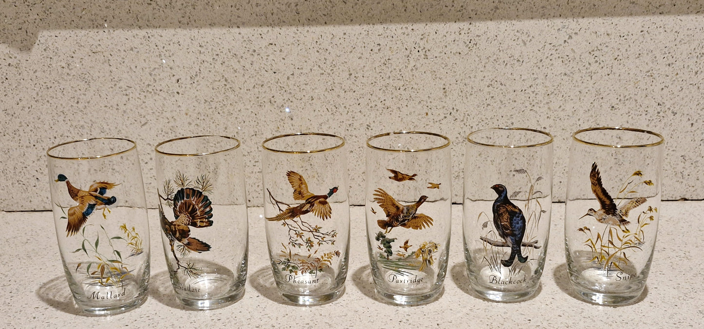 Game Shooting, Game Birds, Pheasant, Partridge, Duck, Jug, Pitcher, Decanter, Glasses, Set, RARE, Glass, Vintage, Glorious 12th, IMMACULATE