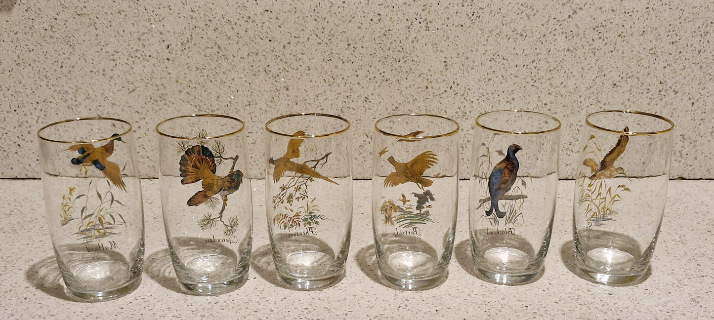 Game Shooting, Game Birds, Pheasant, Partridge, Duck, Jug, Pitcher, Decanter, Glasses, Set, RARE, Glass, Vintage, Glorious 12th, IMMACULATE