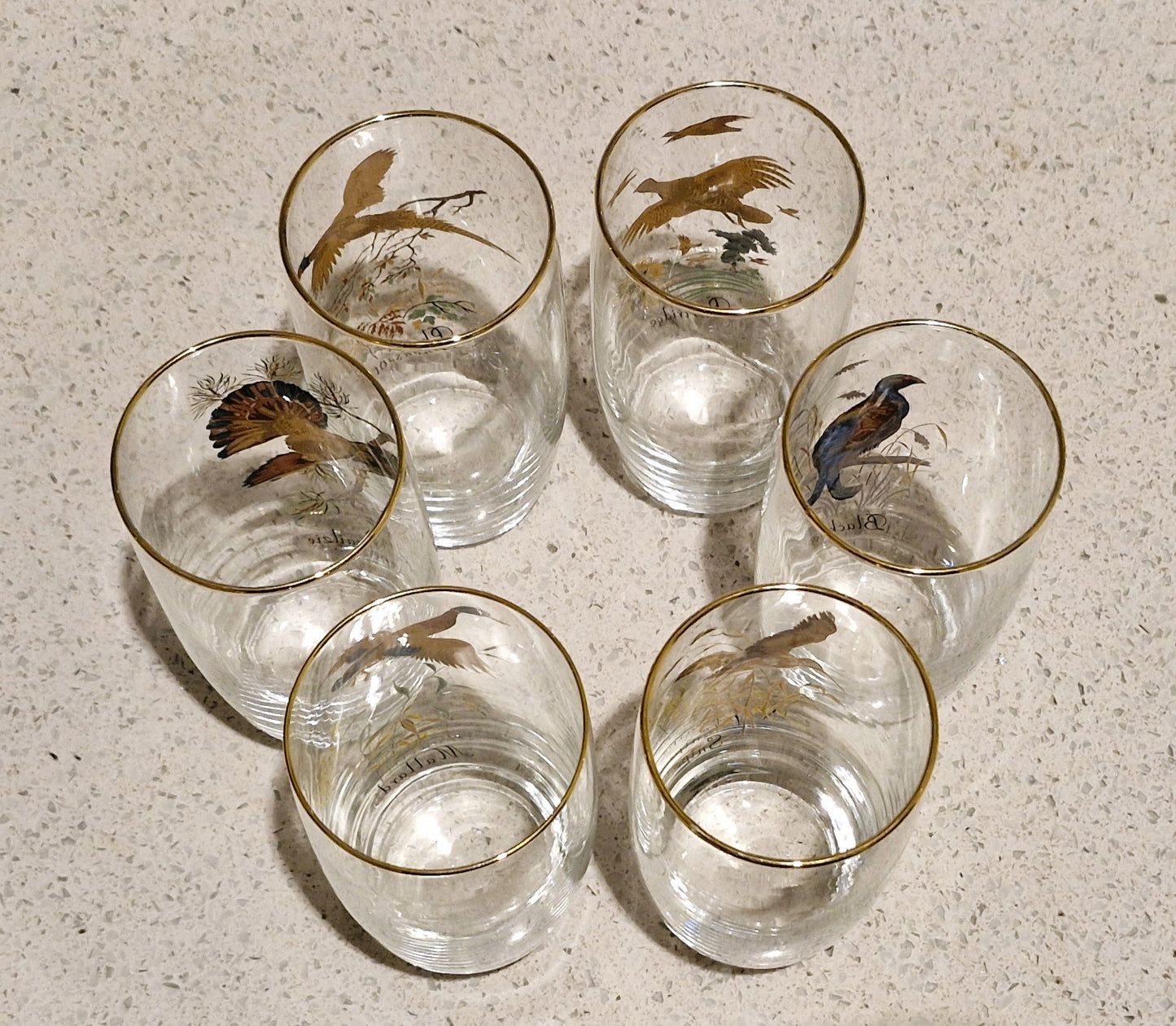 Game Shooting, Game Birds, Pheasant, Partridge, Duck, Jug, Pitcher, Decanter, Glasses, Set, RARE, Glass, Vintage, Glorious 12th, IMMACULATE