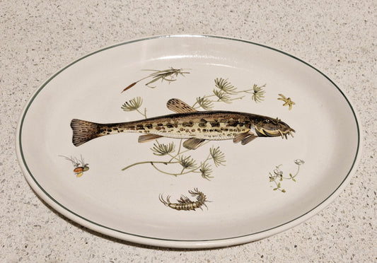 Fish Serving Platter, Old English Ironstone, Simpsons, English Ironstone, Spined Loach, Fish Serving Platter, Course Fishing,  Fly Fisherman