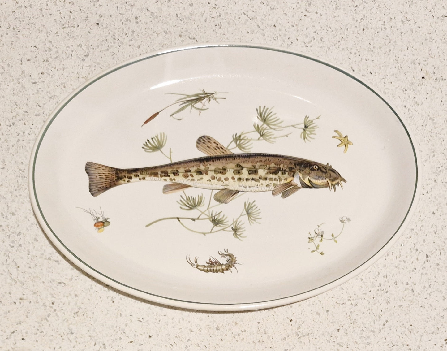 Fish Serving Platter, Old English Ironstone, Simpsons, English Ironstone, Spined Loach, Fish Serving Platter, Course Fishing,  Fly Fisherman