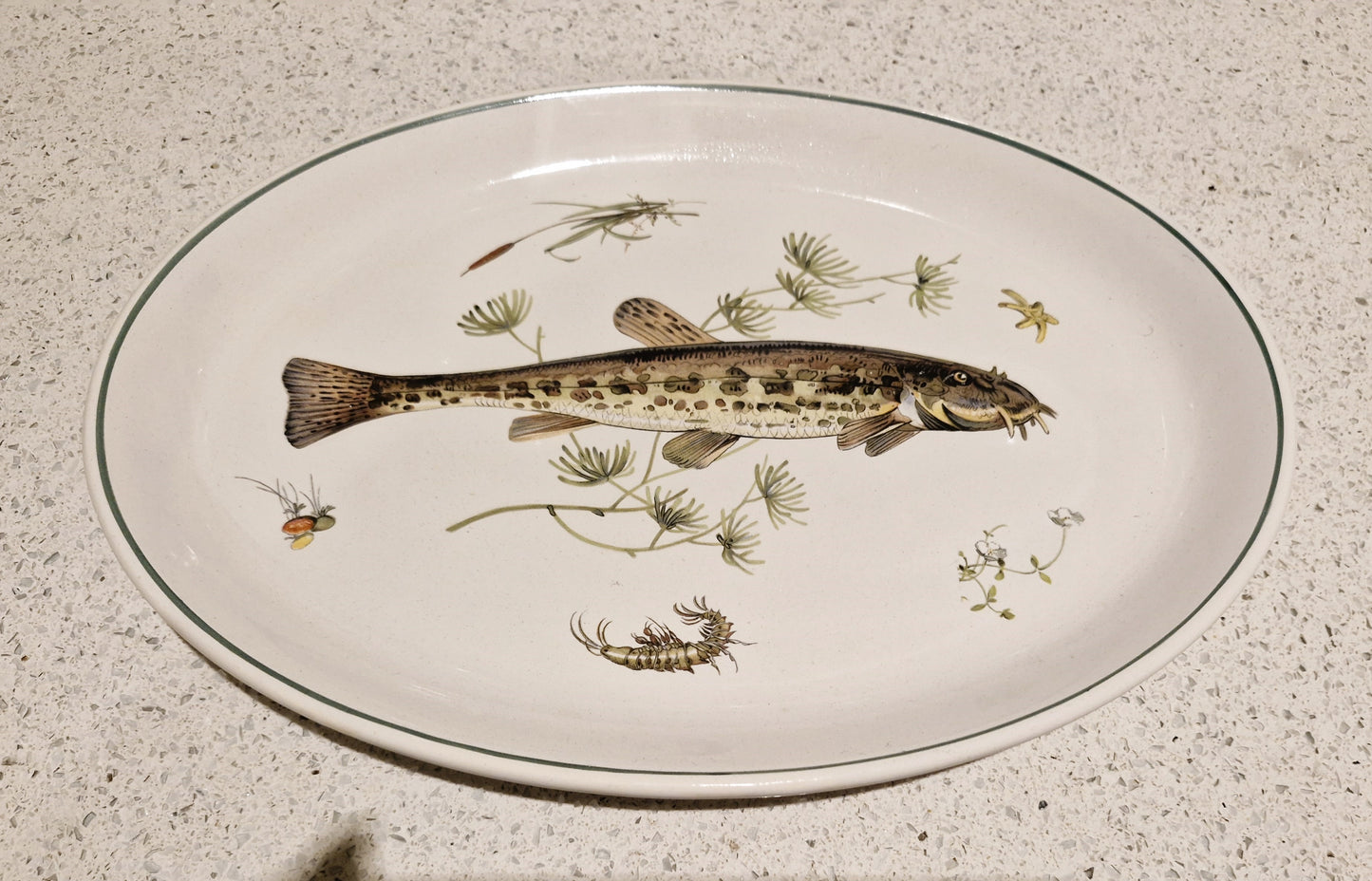Fish Serving Platter, Old English Ironstone, Simpsons, English Ironstone, Spined Loach, Fish Serving Platter, Course Fishing,  Fly Fisherman