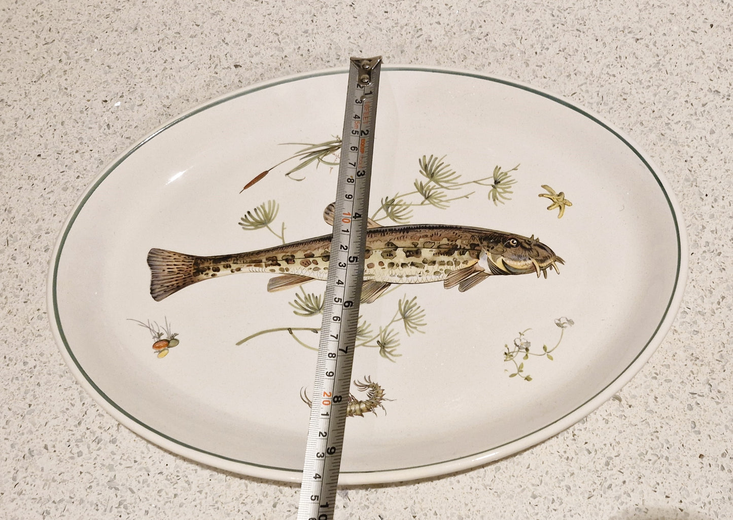 Fish Serving Platter, Old English Ironstone, Simpsons, English Ironstone, Spined Loach, Fish Serving Platter, Course Fishing,  Fly Fisherman