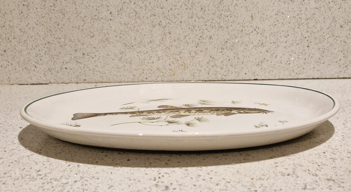 Fish Serving Platter, Old English Ironstone, Simpsons, English Ironstone, Spined Loach, Fish Serving Platter, Course Fishing,  Fly Fisherman