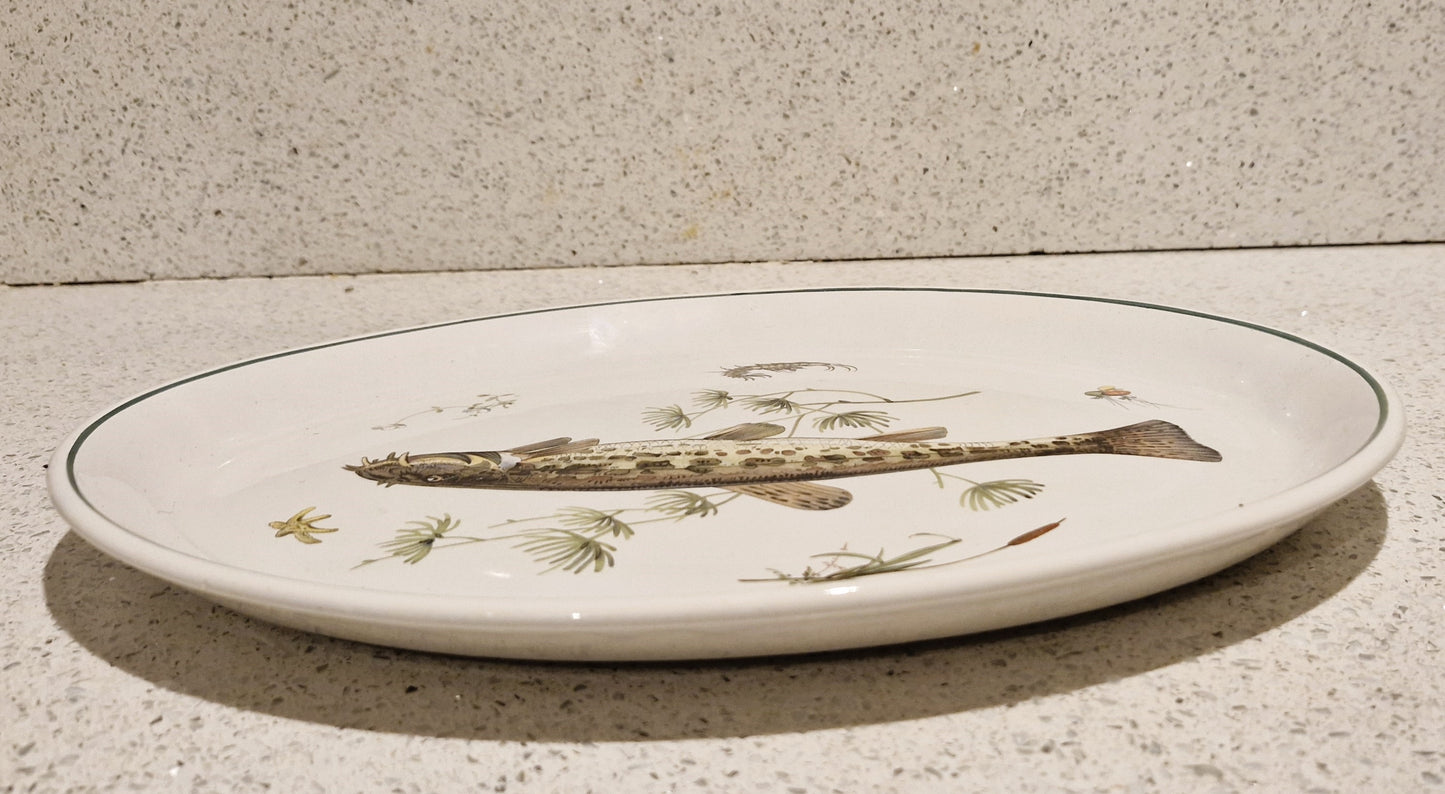 Fish Serving Platter, Old English Ironstone, Simpsons, English Ironstone, Spined Loach, Fish Serving Platter, Course Fishing,  Fly Fisherman