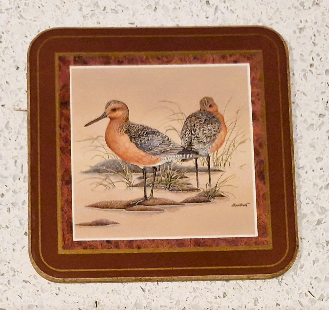 Pimpernel Shore Birds Coasters: Drinks Mats, Set, Wild Birds,