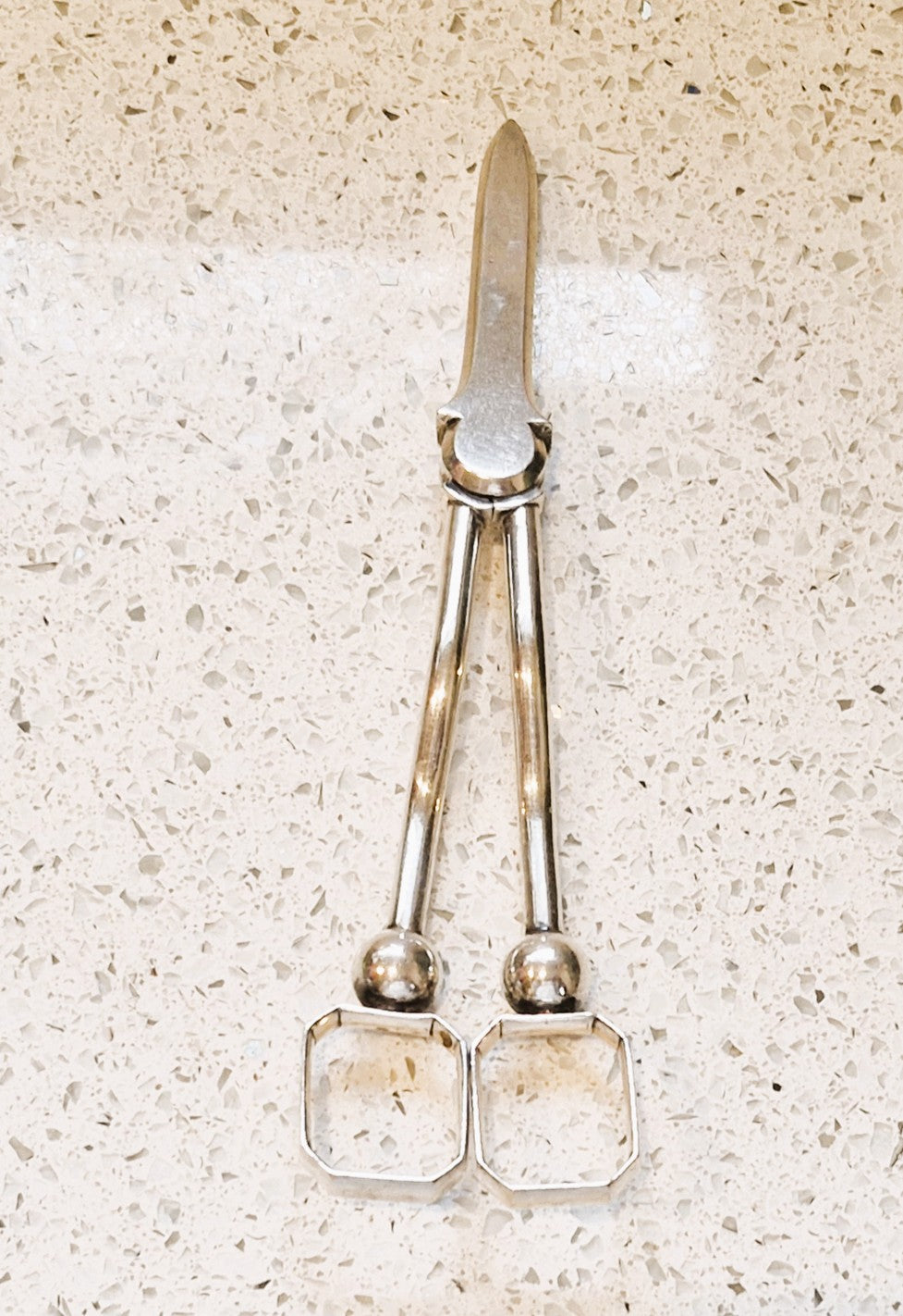Vintage Silver Plated Art Deco / Arts and Crafts Grape Scissors, English