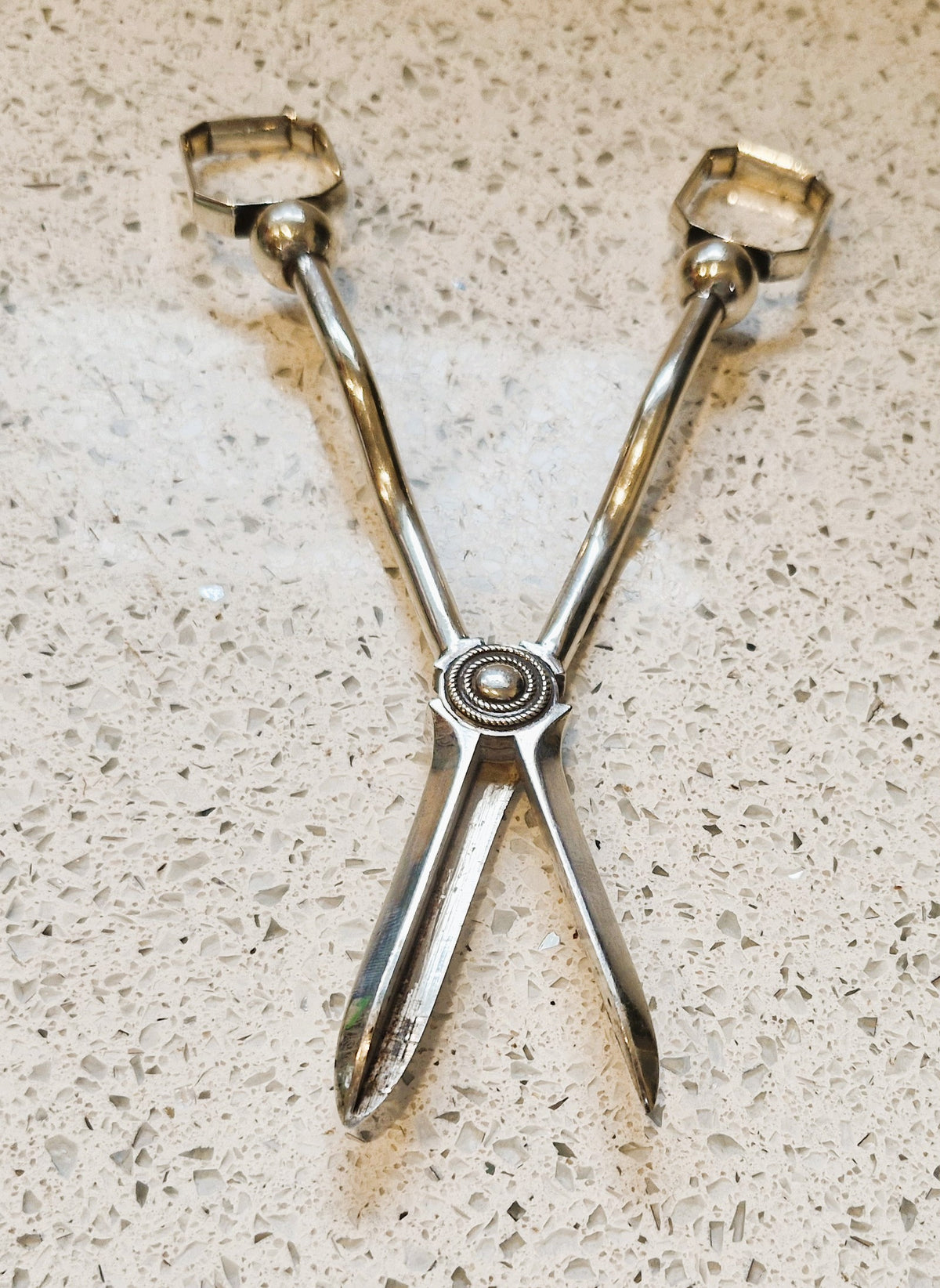 Vintage Silver Plated Art Deco / Arts and Crafts Grape Scissors, English