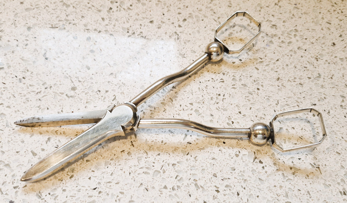 Vintage Silver Plated Art Deco / Arts and Crafts Grape Scissors, English