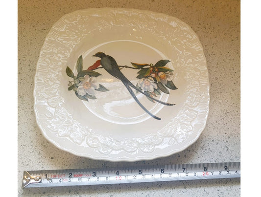 Alfred Meakin, Meakin, Porcelain Plates, Audubon's BIRD of AMERICA Series, Fly Catcher, Made in England
