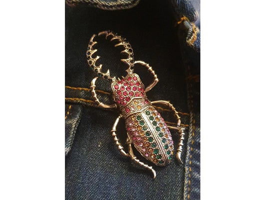 Beetle, Broach, NEW, Insect Jewellery, Quirky, Unusual, Pink, Green,