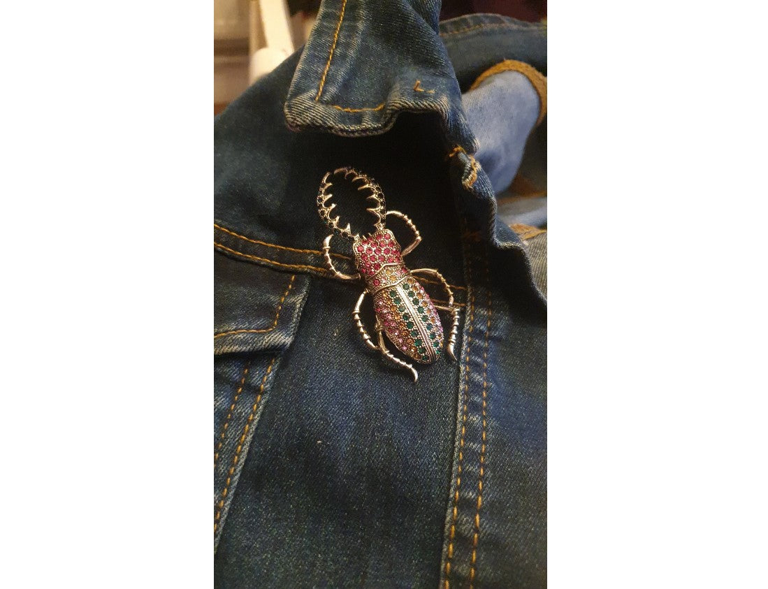 Beetle, Broach, NEW, Insect Jewellery, Quirky, Unusual, Pink, Green,