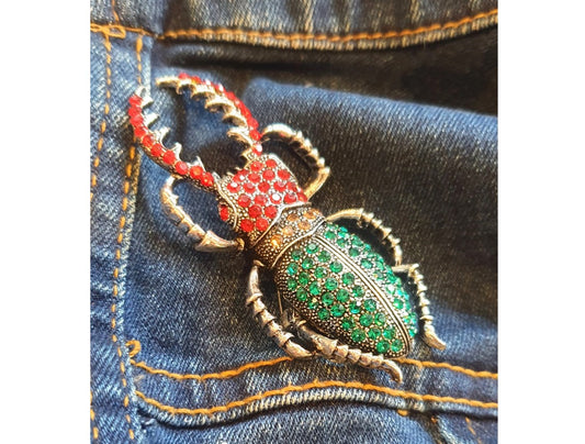 Beetle, Broach, NEW, Insect Jewellery, Quirky, Unusual, Red and green