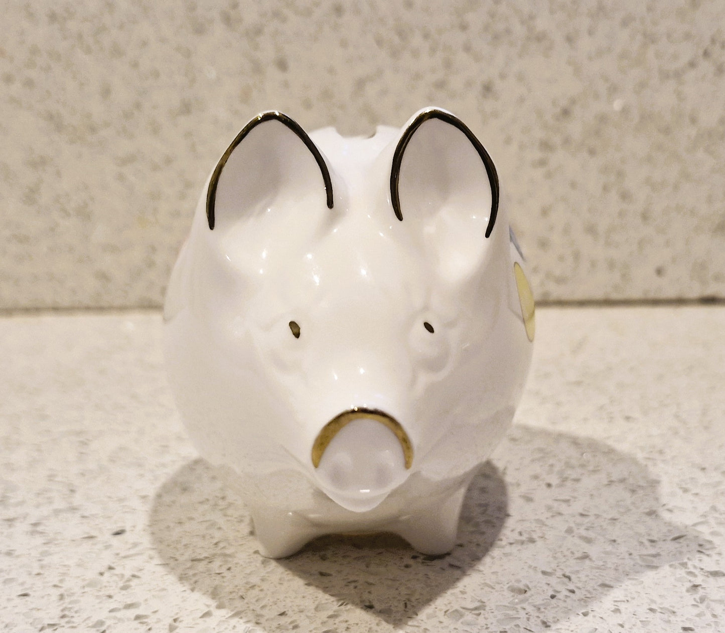 Crown Bone china Piggy Bank, Vintage Piggy Bank, Small Piggy Bank, Long Nose Pig Piggy Bank 