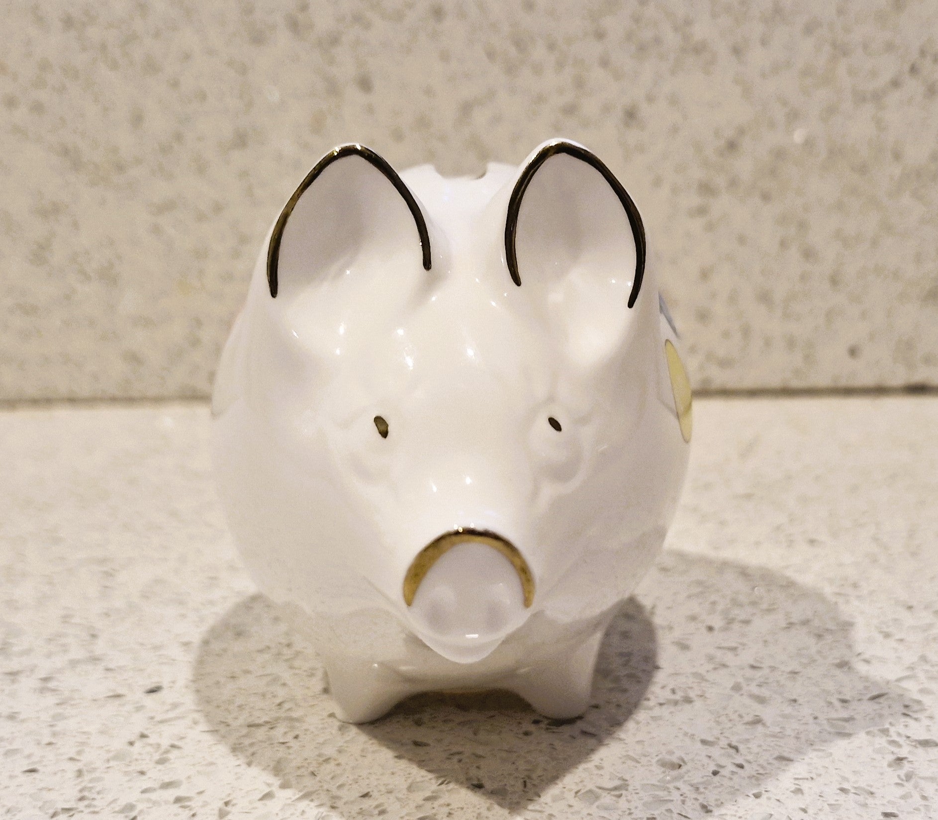 Crown Bone china Piggy Bank, Vintage Piggy Bank, Small Piggy Bank, Long Nose Pig Piggy Bank 