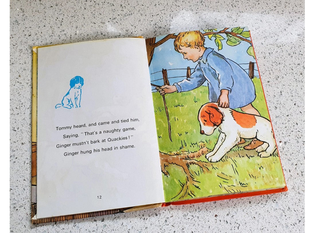 Gingers Adventures, Rhyming Stories, Macgregor, Perring, Vintage Childrens Book