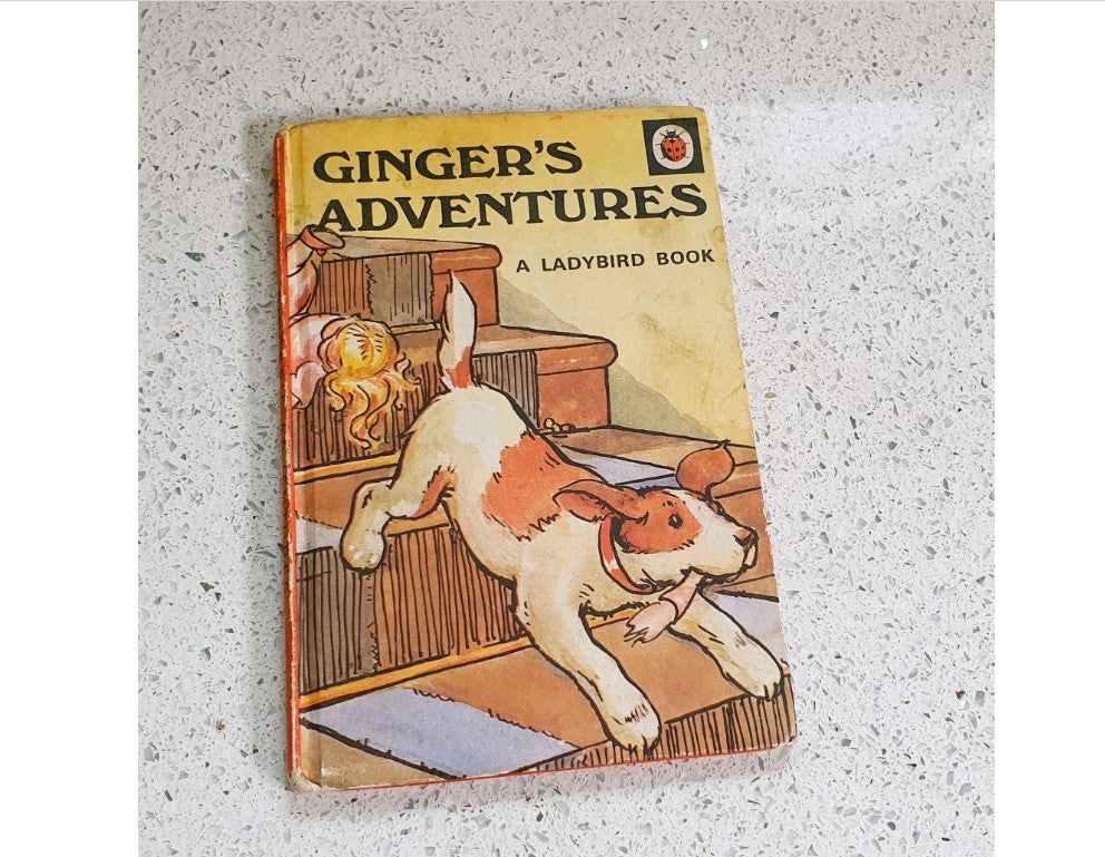 Gingers Adventures, Rhyming Stories, Macgregor, Perring, Vintage Childrens Book
