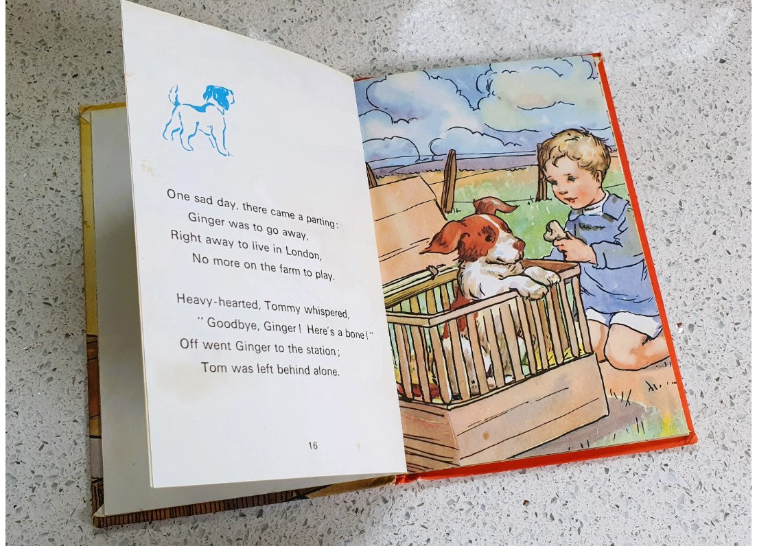 Gingers Adventures, Rhyming Stories, Macgregor, Perring, Vintage Childrens Book
