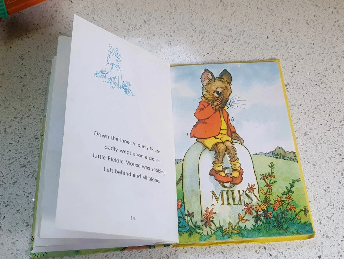 Lost at The Fair Rhyming Stories, Macgregor, Perring, Vintage Ladybird Book,