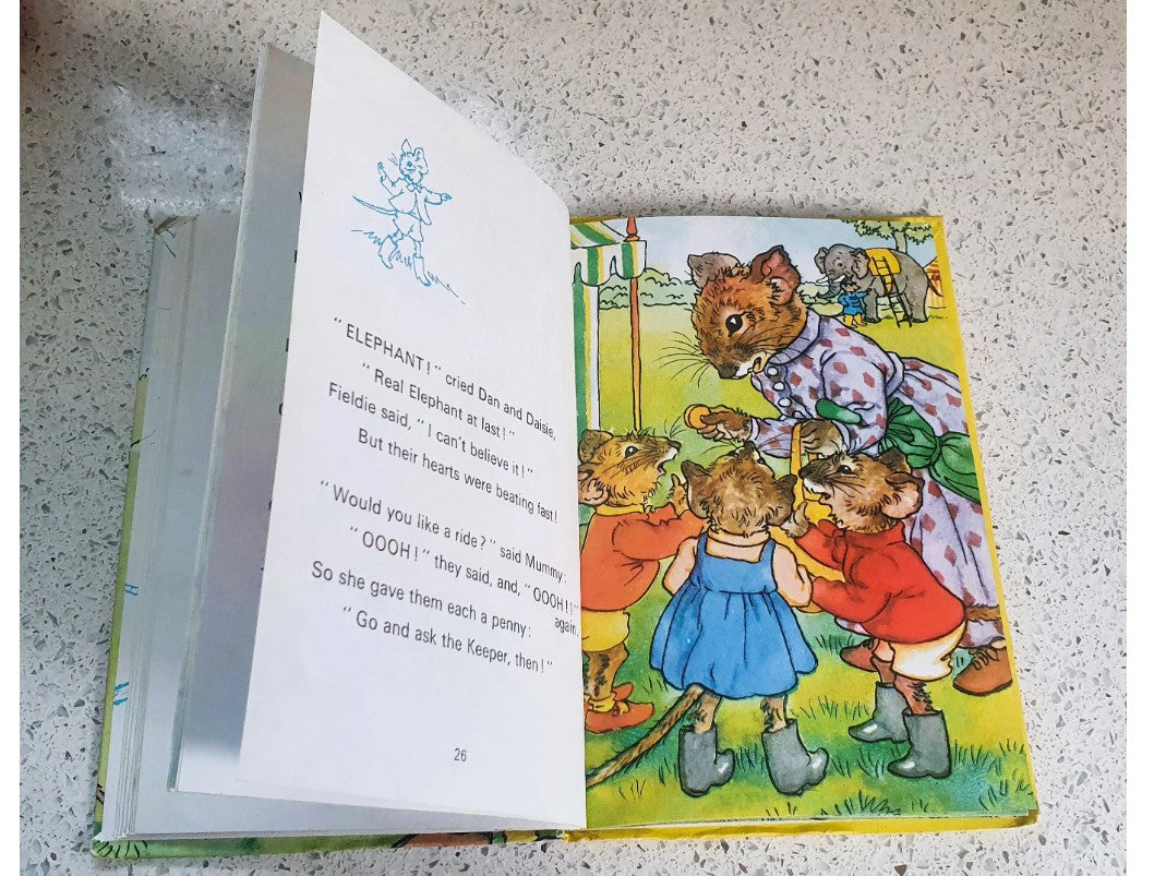 Lost at The Fair Rhyming Stories, Macgregor, Perring, Vintage Ladybird Book,