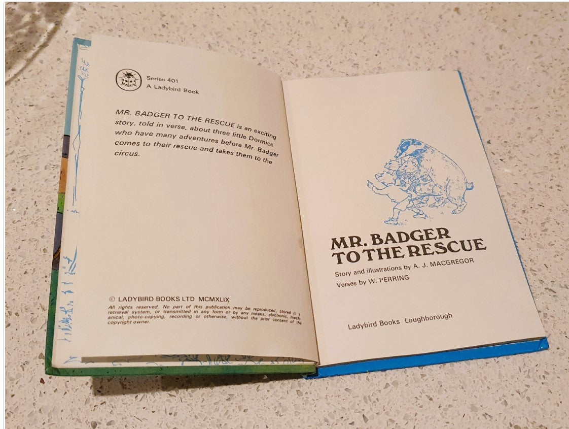 Mr Badger to the Rescue, Macgregor, Perring, Rhyming Stories, Ladybird Books