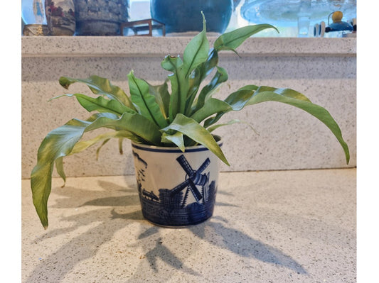 Deft Style Planter, Blue and white, Windmills, Dutch, Pottery, Dutch Plant Pot