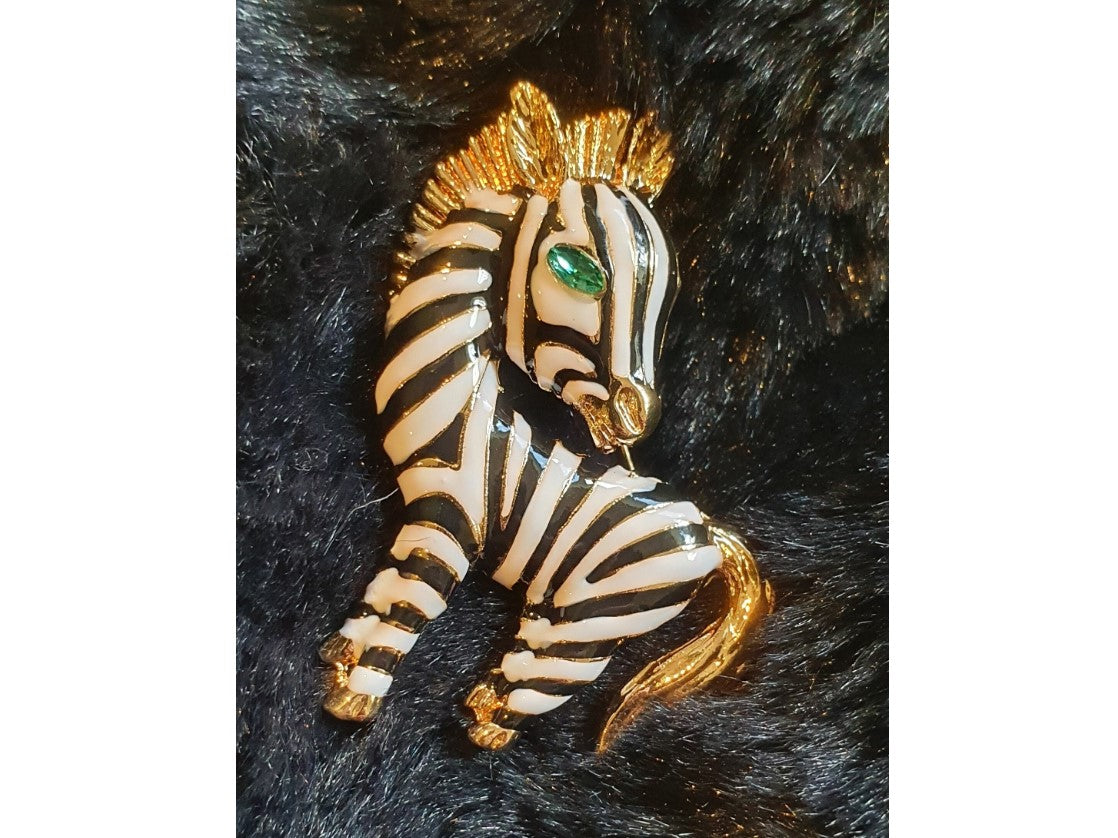 Zebra Broach, NEW, Insect Jewellery, Quirky, Unusual, Black and White