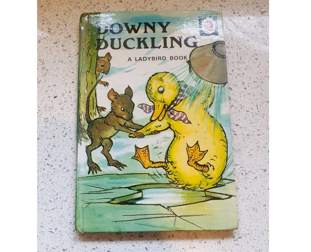 Downey Duckling Lady Bird Book