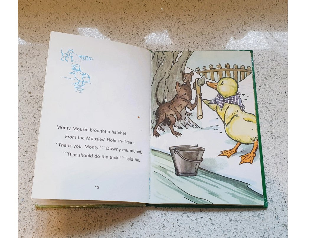 Downey Duckling Lady Bird Book