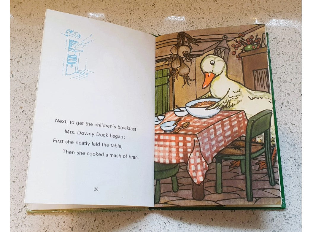 Downey Duckling Lady Bird Book