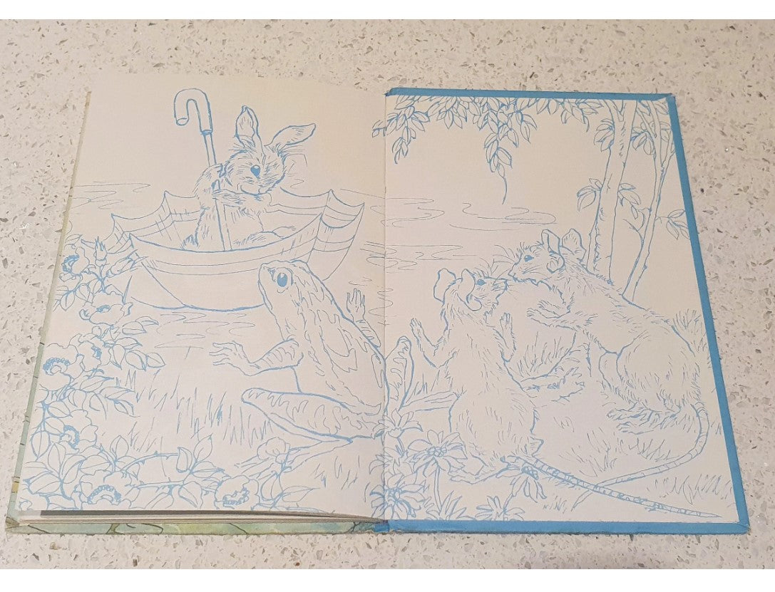 Bunny Fluffs Moving Day, Rhyming Stories, Macgregor, Good Condition, Vintage Ladybird Book,