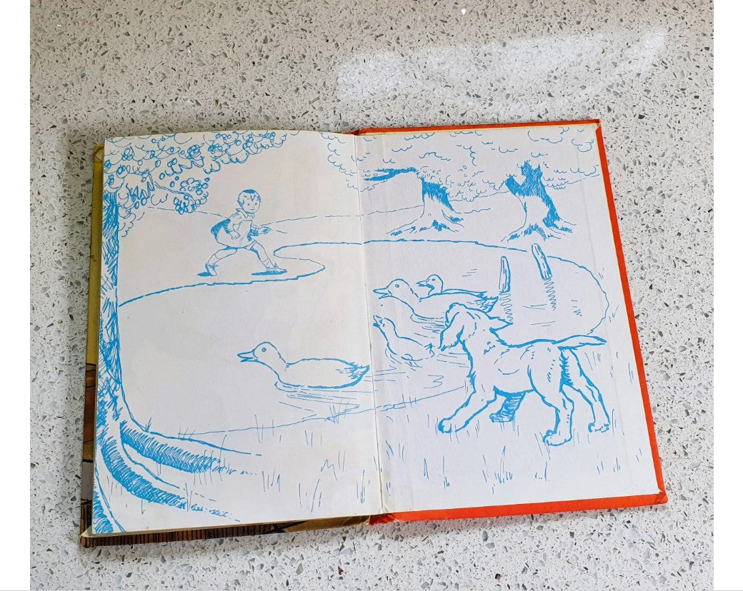 Gingers Adventures, Rhyming Stories, Macgregor, Perring, Vintage Childrens Book