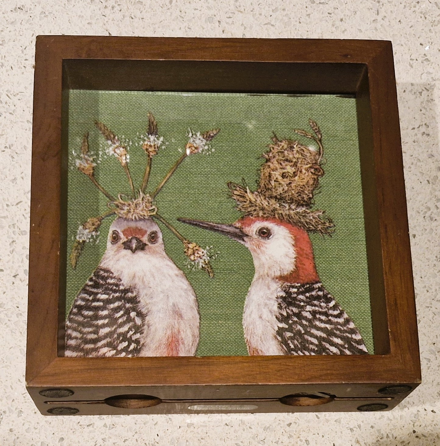 Vicki Sawyer, Framed Picture, Pigeons, Art, Quirky, Animals 